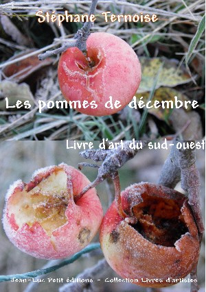  photo un livre d art sujet : 
les pommes 