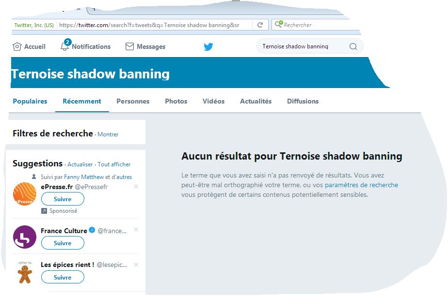  photo Ternoise shadow banning sur twitter France ?